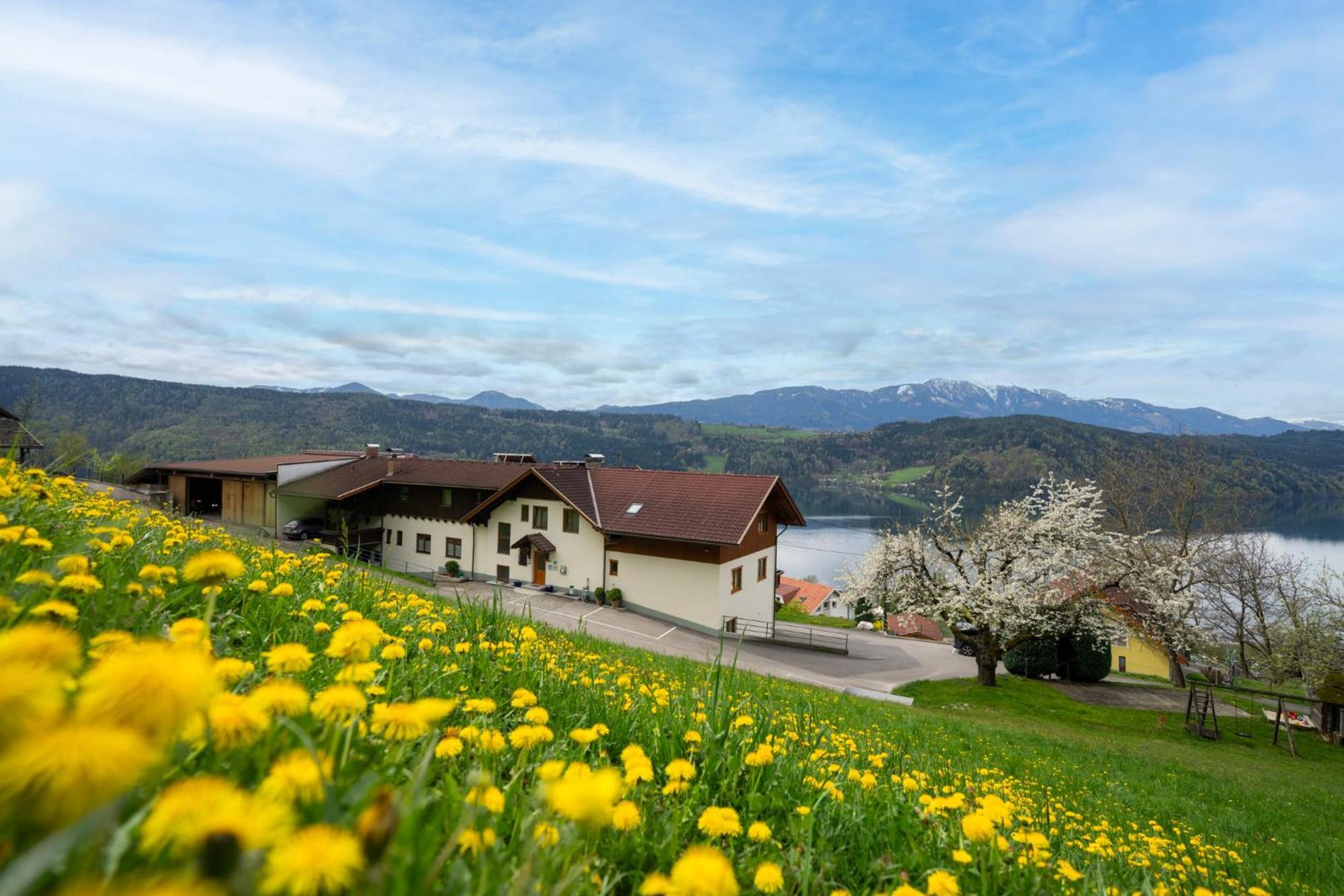 Fruehstueckspension Goetzfried-Hof Мілльштатт Екстер'єр фото